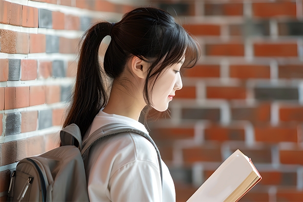 顺德职业技术学院录取线(09湖南高考各高校三本录取分数线..)