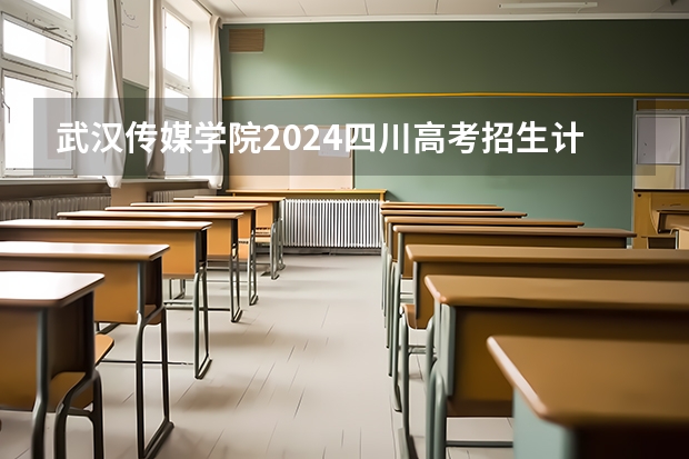 武汉传媒学院2024四川高考招生计划介绍