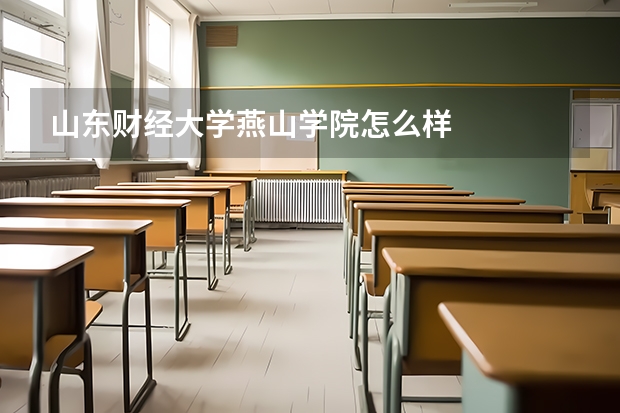 山东财经大学燕山学院怎么样